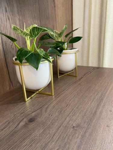 Apartamenty Stare Miasto