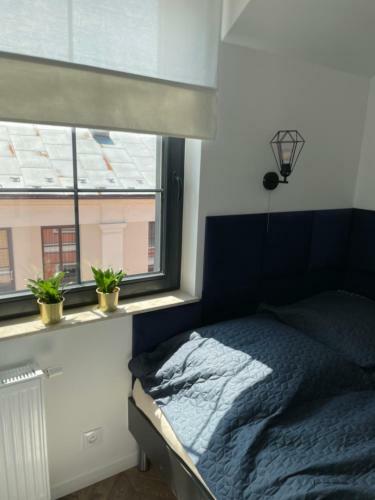 Prestige Apartment Old Town Zamo??
