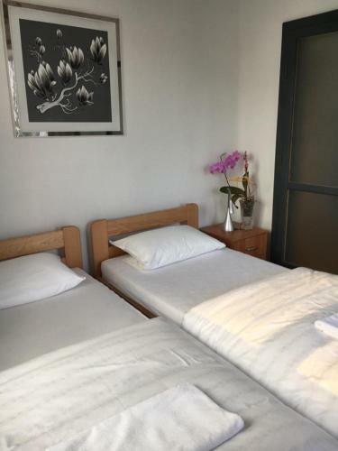 Villa Apartamenty, Dom Przy Parku W Centrum Zamo?cia