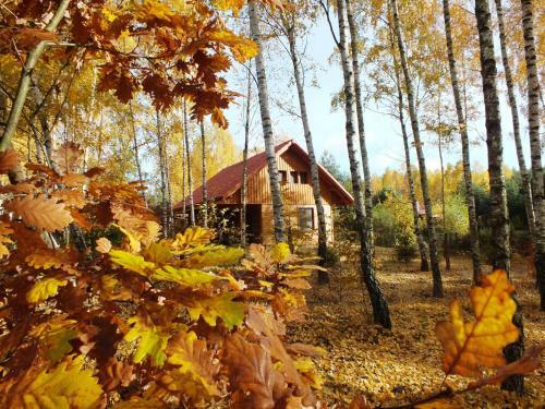 Agroturismo Sum�wko Le?ne Siedlisko