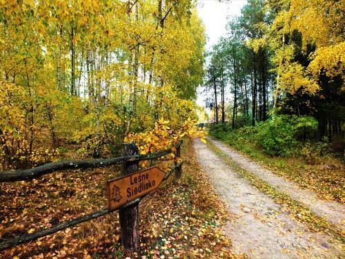 Agroturismo Sum�wko Le?ne Siedlisko