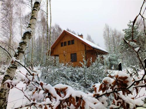 Agroturismo Sum�wko Le?ne Siedlisko