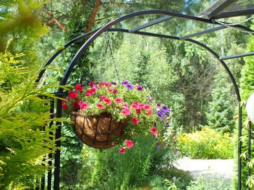 Agroturismo Sum�wko Le?ne Siedlisko