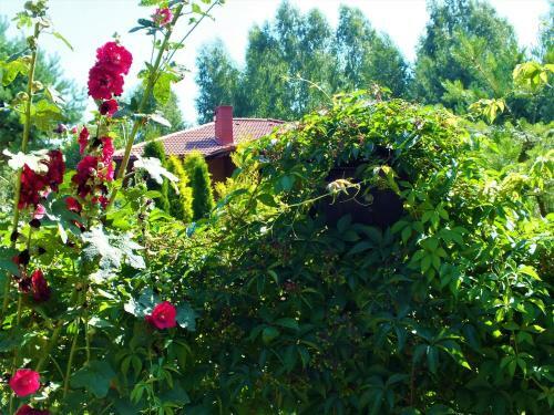 Agroturismo Sum�wko Le?ne Siedlisko