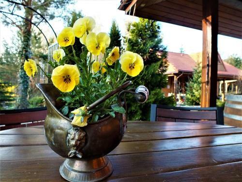 Agroturismo Sum�wko Le?ne Siedlisko