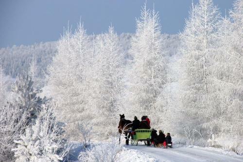 Agroturismo Willa We?cz�wka
