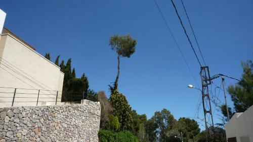 Traumvilla Encina