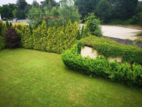 Hostal Zawoja1560 Apartamenty Przy Aptece