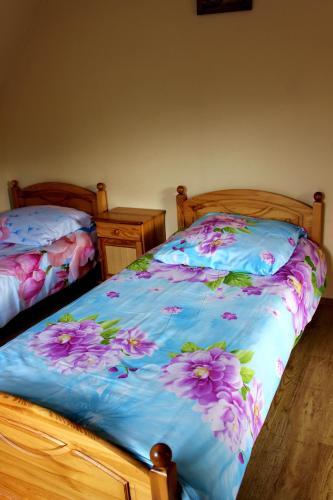 Zawoja Chaty G�rskie D5