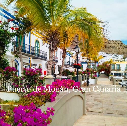 Cura Marina Luxury Apartment