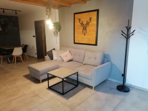 Apartament Jele?