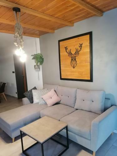 Apartament Jele?