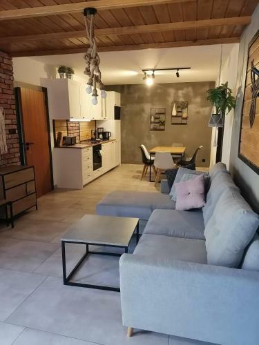 Apartament Jele?