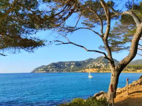 Apartment Formentor With Sea View, Pool & Terrace In Canyamel