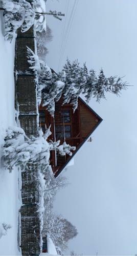 Villa Willa Zwierzyniec
