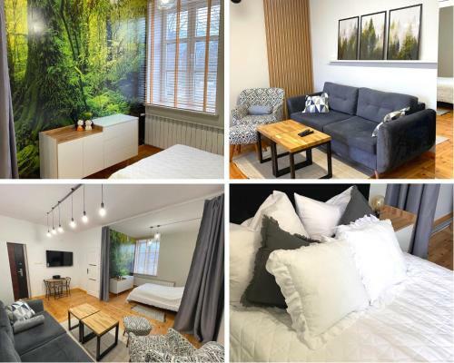 Apartamenty Zwierzyniec
