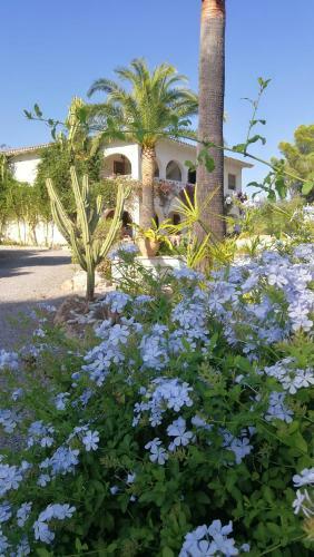 Studio Apartment In Grosser Villa Mit Pool