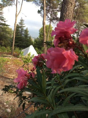 Bed & Breakfast Casa Jetizo