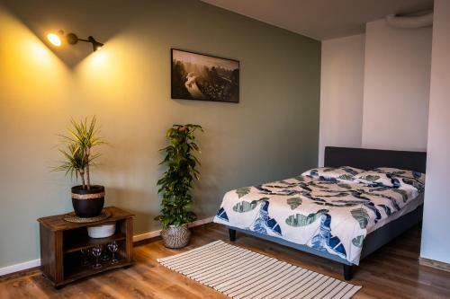 Bed & Breakfast Zajazd Izabela