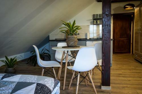 Bed & Breakfast Zajazd Izabela