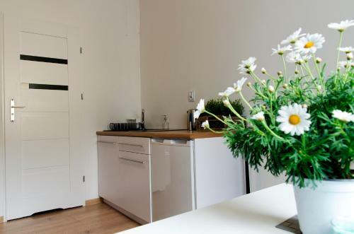 Apartamento Kamienica