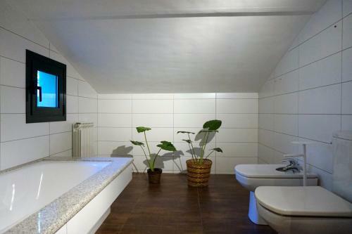 Apartament �liba Cal Veterinari
