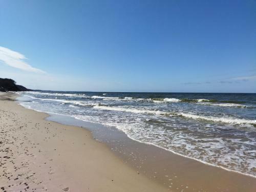 Apartamenty Modrzewiowa