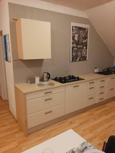 Apartament Le?ny Zak?tek