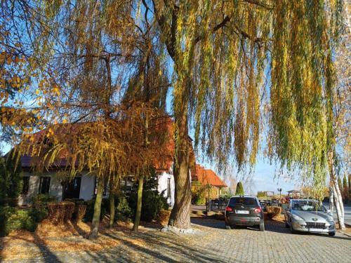 Bed & Breakfast Dobry Klimat