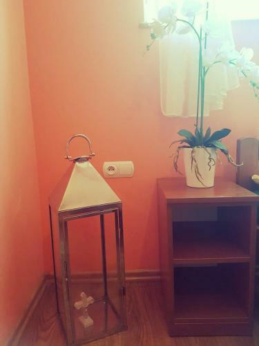 Hostal Noclegi U Dyncyka