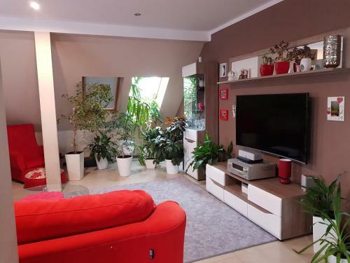 Apartament Pod Lasem