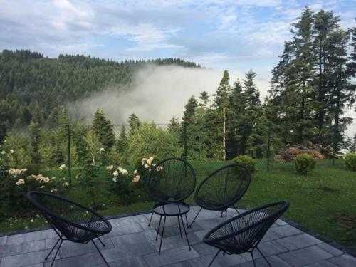 Villa Pauza-limanowa
