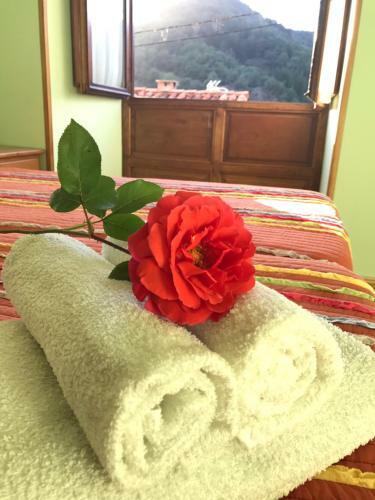 Apartamentos Rurales Los Nogales