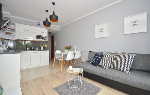 Apartament Pasat