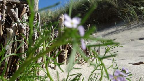 Apartamento Dar?�wko By The Sea