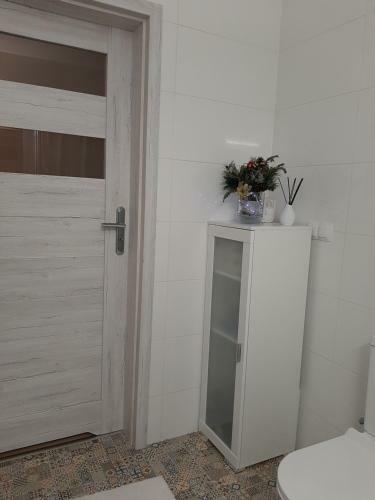 Apartament Viktoria