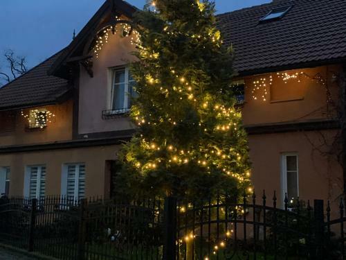 Apartament Kotwiczna