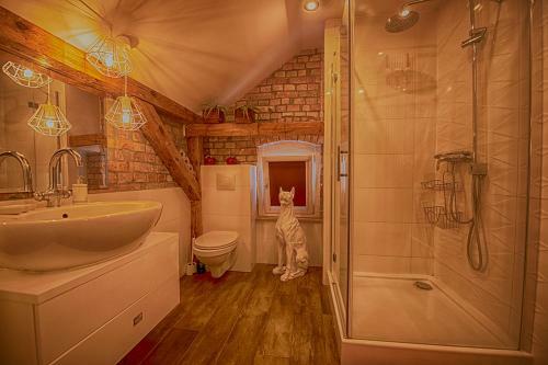 Apartament Kotwiczna
