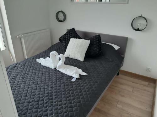 Apartamenty Asis