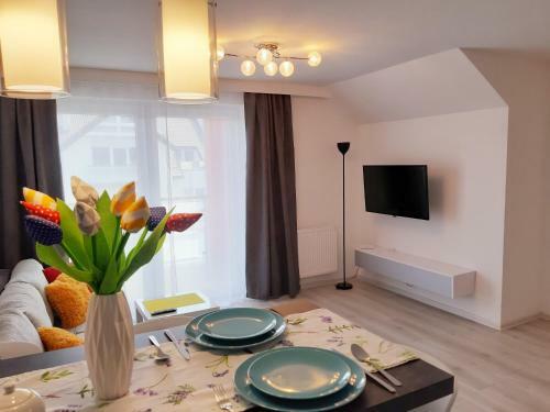 Apartamenty Asis