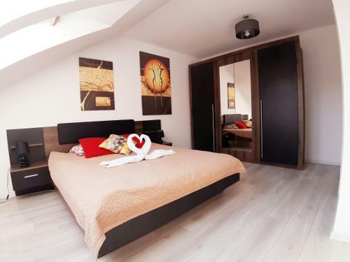 Apartamenty Asis