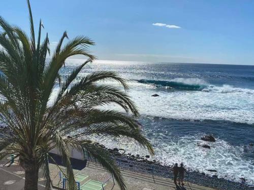 Apartamentos La Condesa (2� Planta)