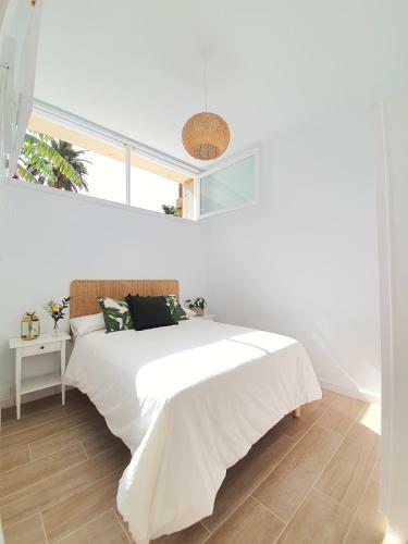 Apartamentos Alayna�s Homes