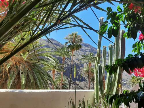 Apartamento Casa Limon