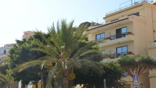 Apartamento Apt El Molino 3b