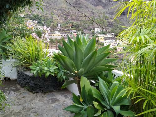 Casa Tigot