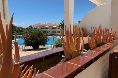 Monis Apartment Mit Pool