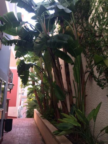 Apartamento Studio Rosalea