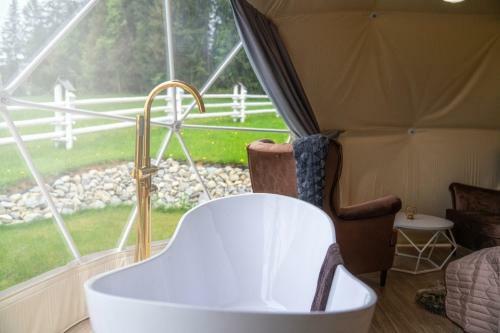 Mountain Glamp