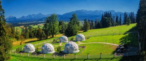 Mountain Glamp